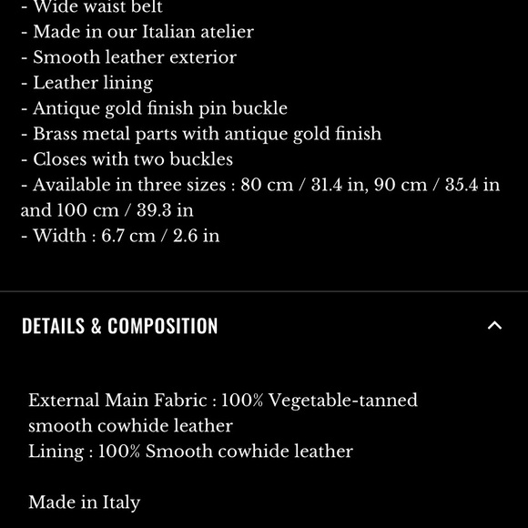 Sezane leather belt made in Italy NWT - Picture 2 of 4